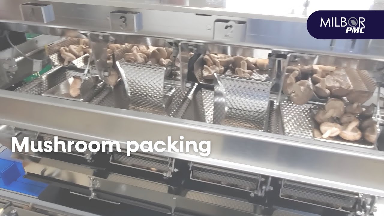 Mushroom packing | Milbor PMC