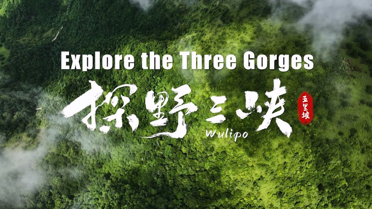 Explore the Three Gorges, Ep.3: Wulipo