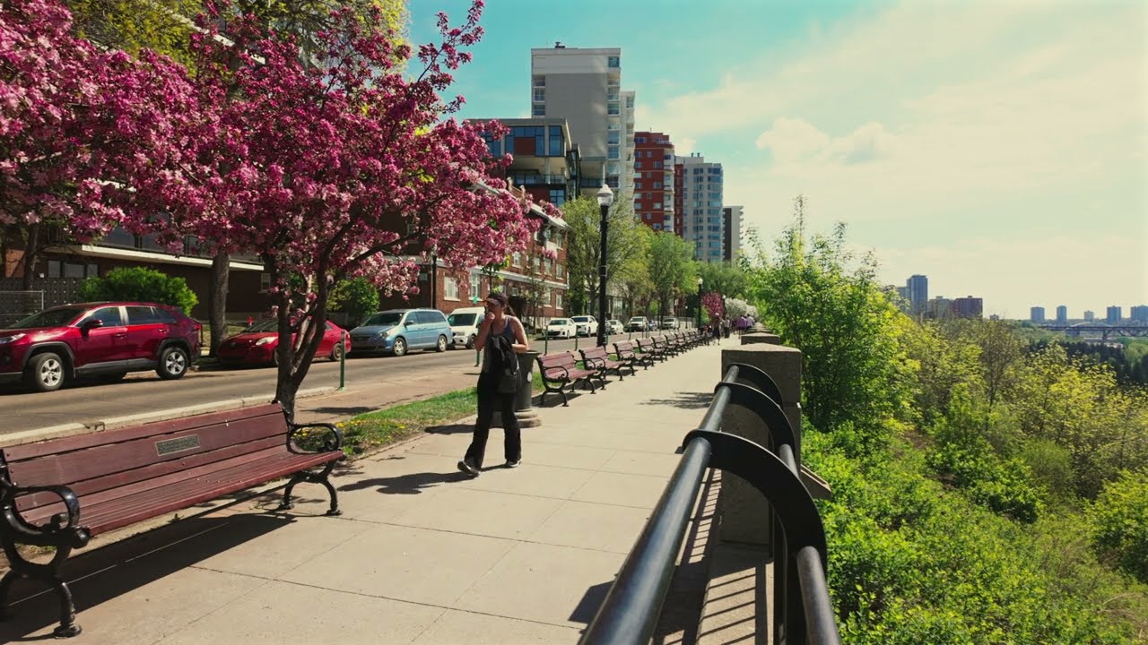 A Walk in Edmonton and St. Albert  Alberta Canada | maplesnaps