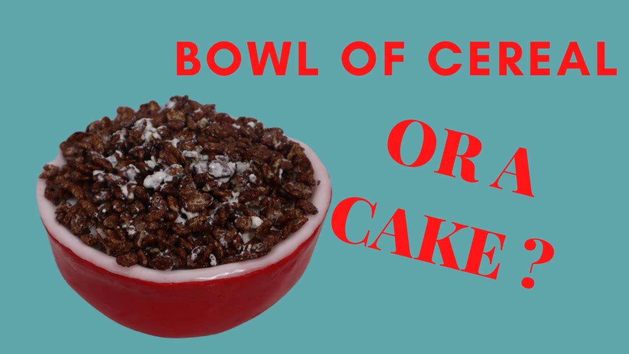 Bowl of cereal  cake I Realistic cakes