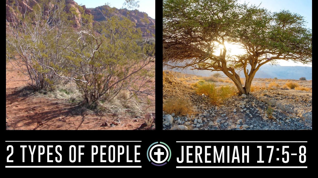 TWO KINDS OF PEOPLE | JEREMIAH 17:5-8