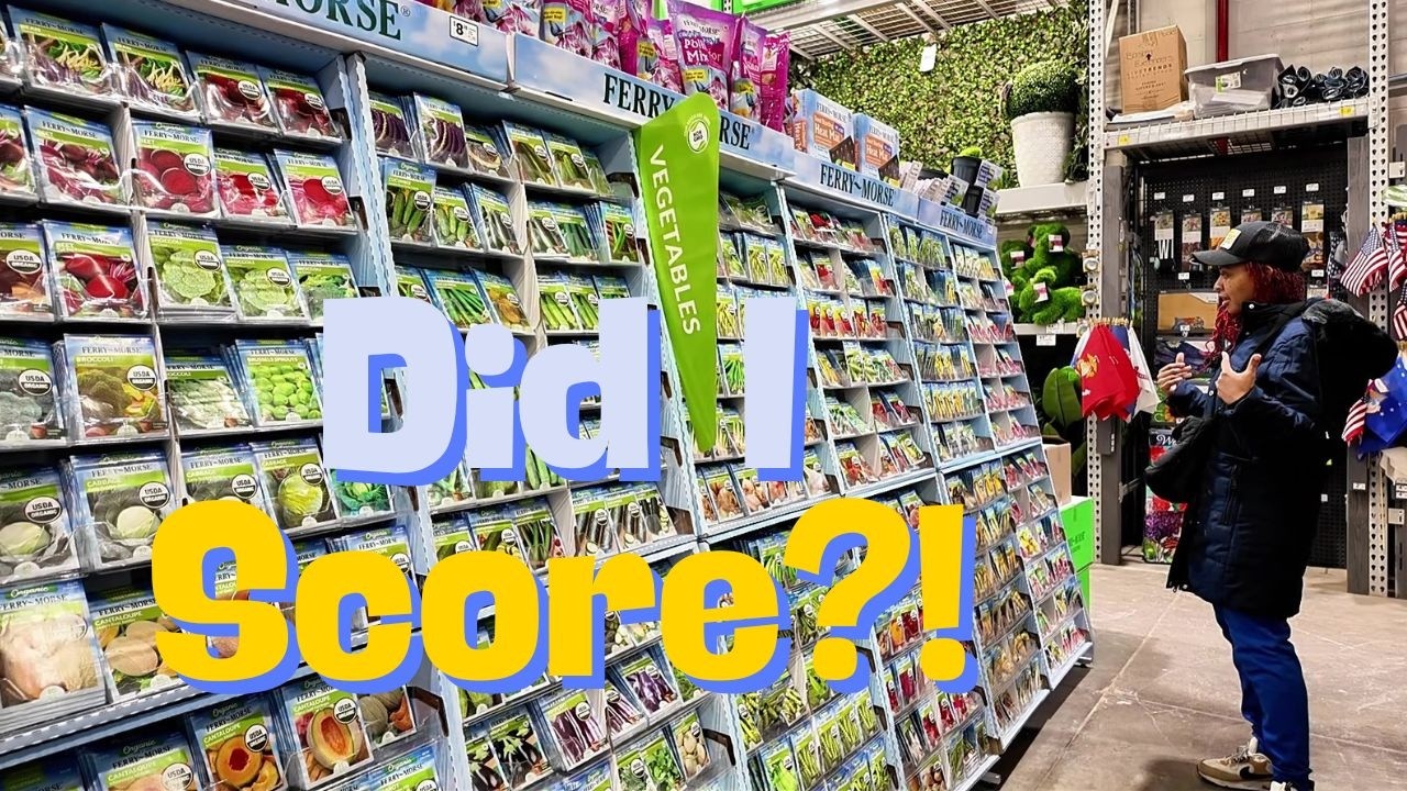 Покупка семян в магазине Lowe's: покупала я их или нет?!