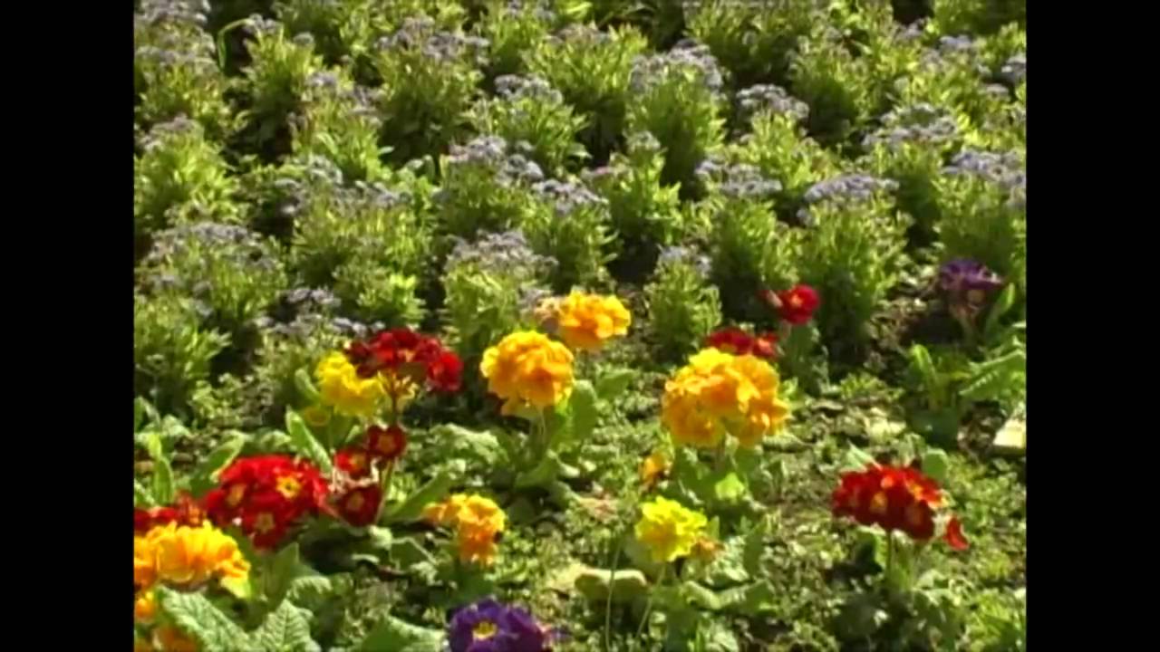 Arts in Parks 2007