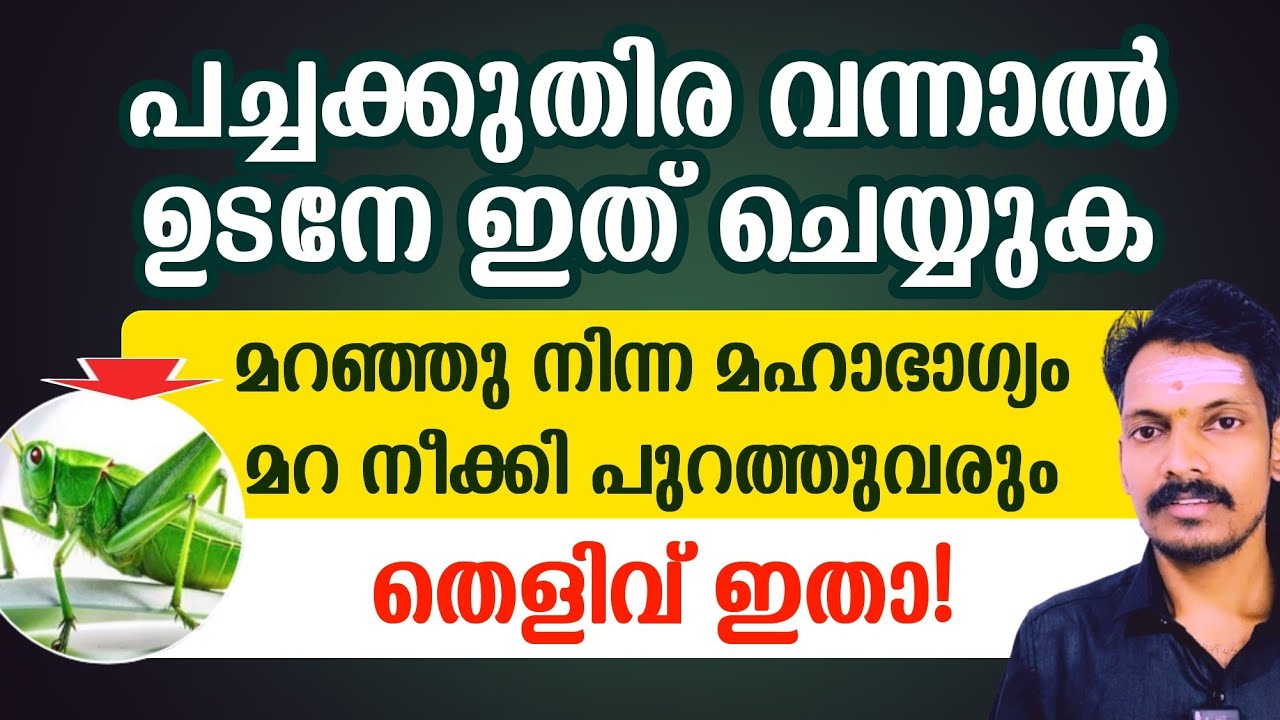 പച്ചക്കുതിര വന്നാൽ ഉടനെ ഇത് ചെയ്യുക.മറഞ്ഞുനിന്ന ഭാഗ്യം പുറത്തുവരും.സൗഭാഗ്യം തെളിയും.