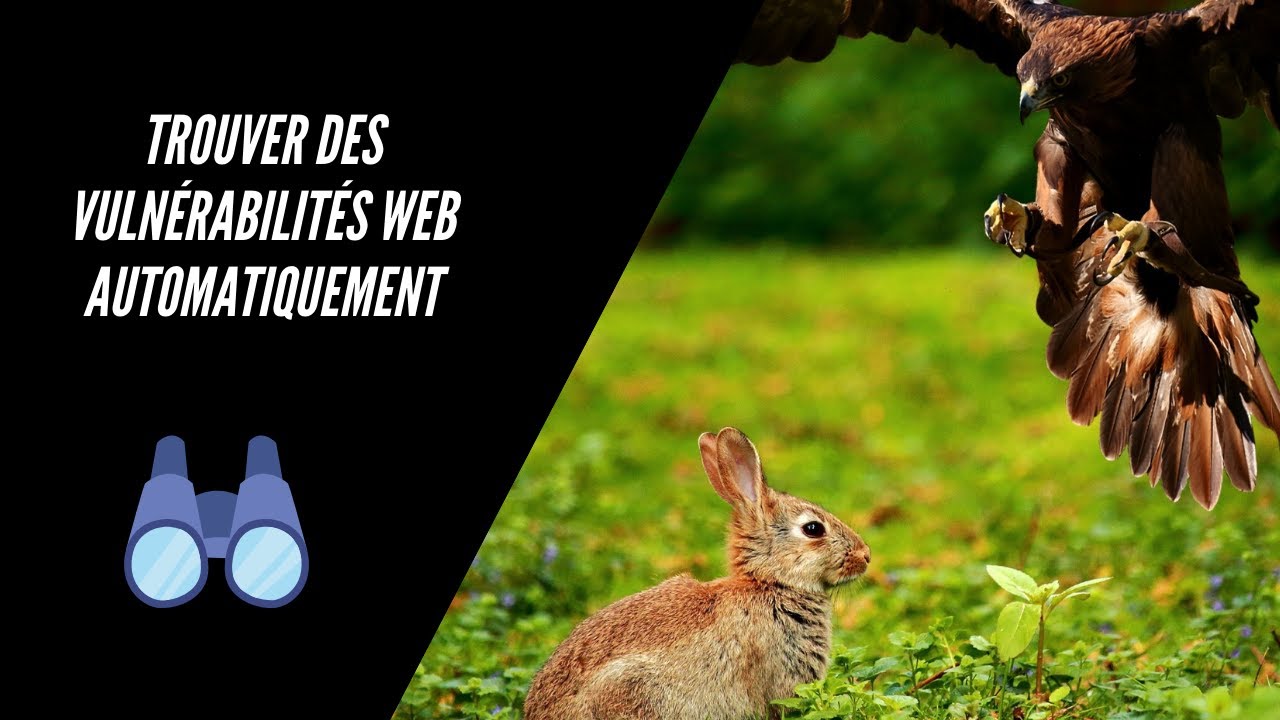 Comment faire un scan web avec Kali Linux ?