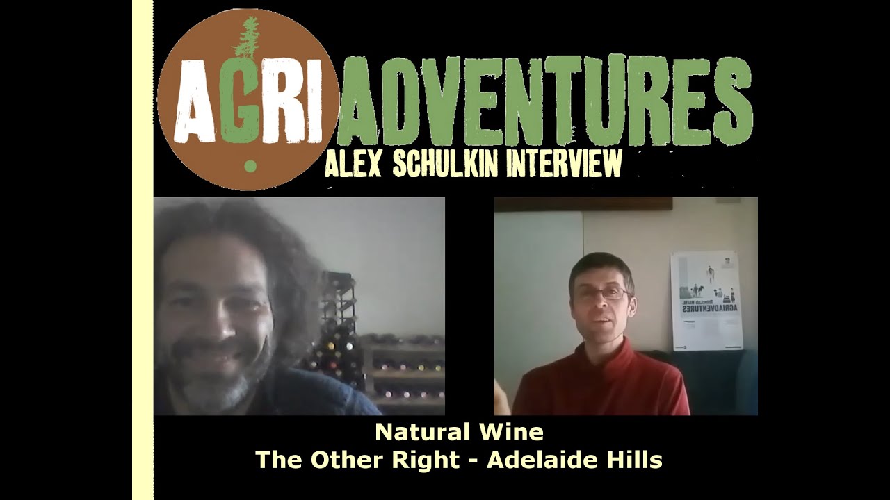 Alex Schulkin - The Other Right 