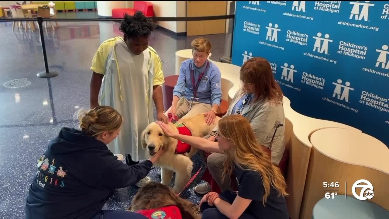 Therapy dogs bring healing and smiles to patients at Children's Hospital of Michigan