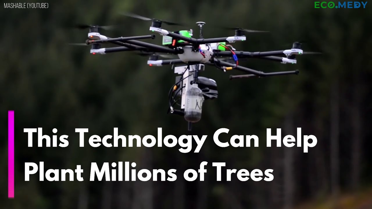 This Tech Startup Is helping Restore Forests Using Seed-Firing Drones