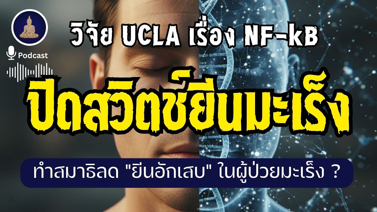 ดูลมหายใจ ปิดสวิตช์ยีนมะเร็ง (NF-kB) ได้จริง ? I #นะโมพุทธายะ