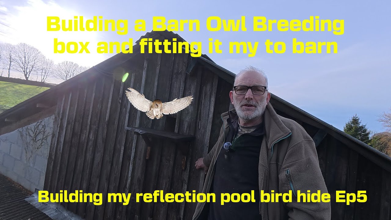 Building a reflection pool (Building a Barn Owl Box) Ep 5
