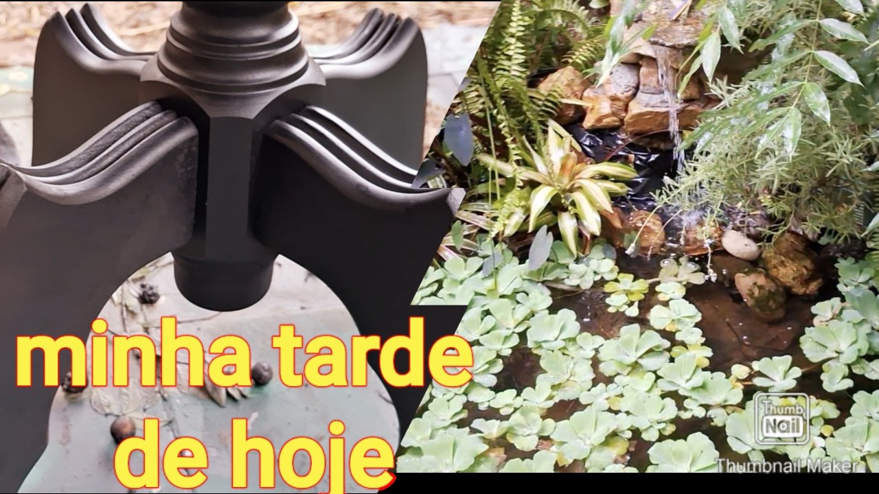 ACHADOS NO ECOPONTO+VLOG QUINTAL