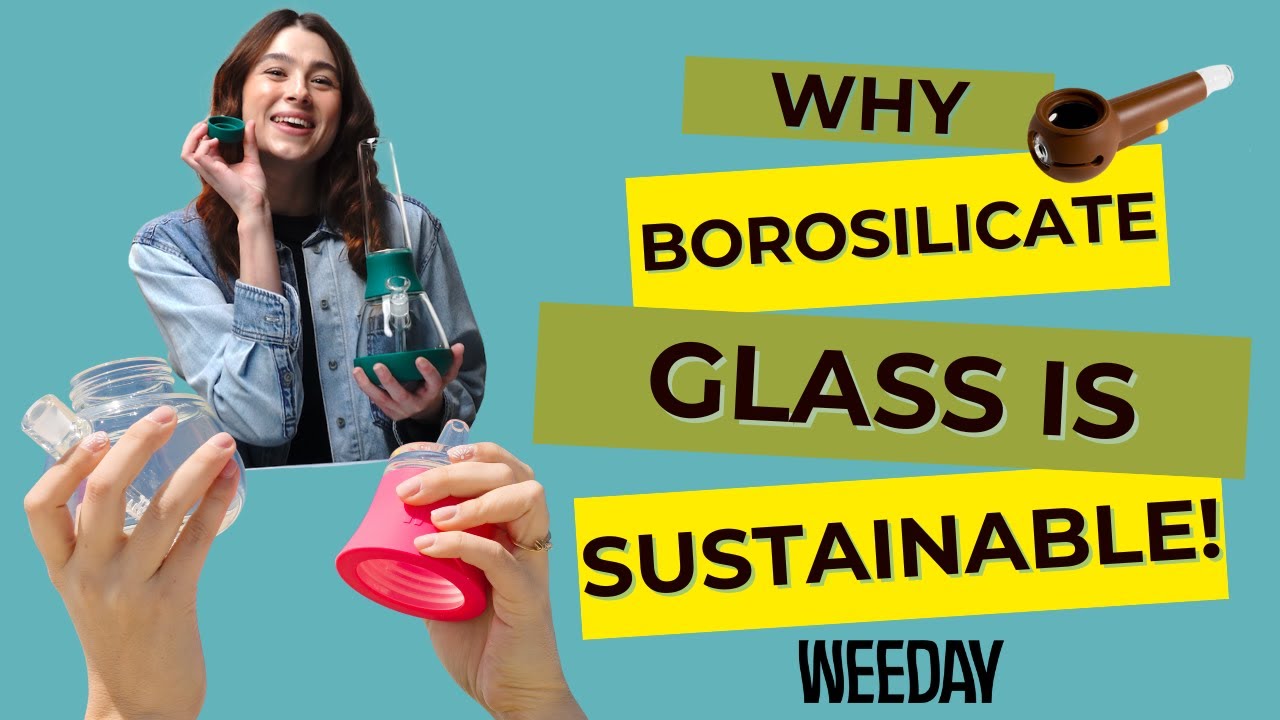 Go Green with Glass: Weeday&rsquo;s Sustainable Borosilicate 💨-ing Products