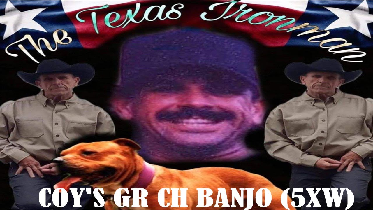 Coy's Gr Ch Banjo 5XW ROM | The Mouth Of The South