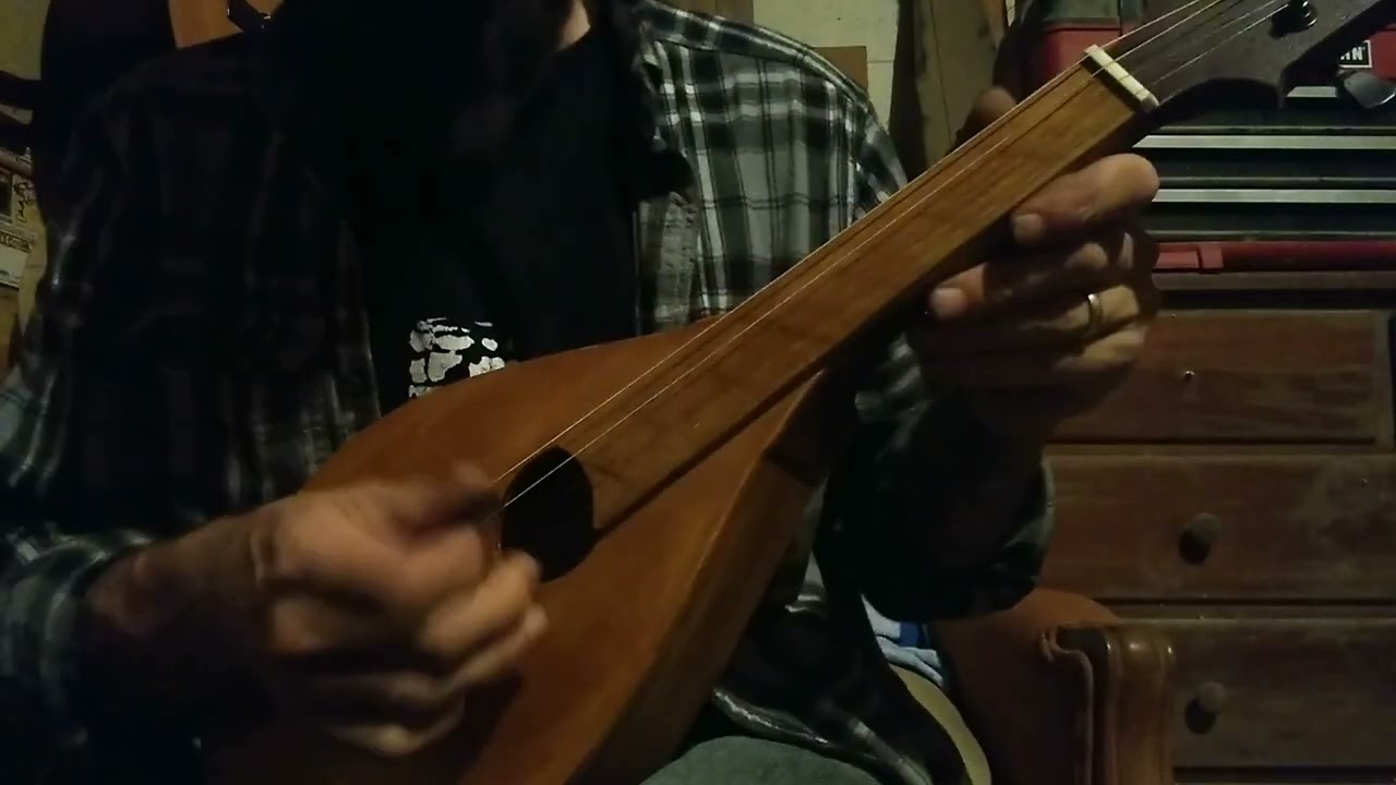 flattop fretless 4 string mandolin