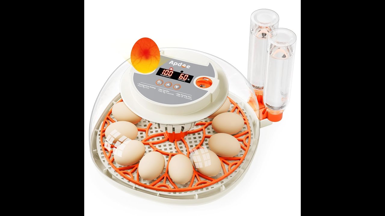 Apdoe 2025 Upgraded, Incubator, Chicken Duck Quail Bird.