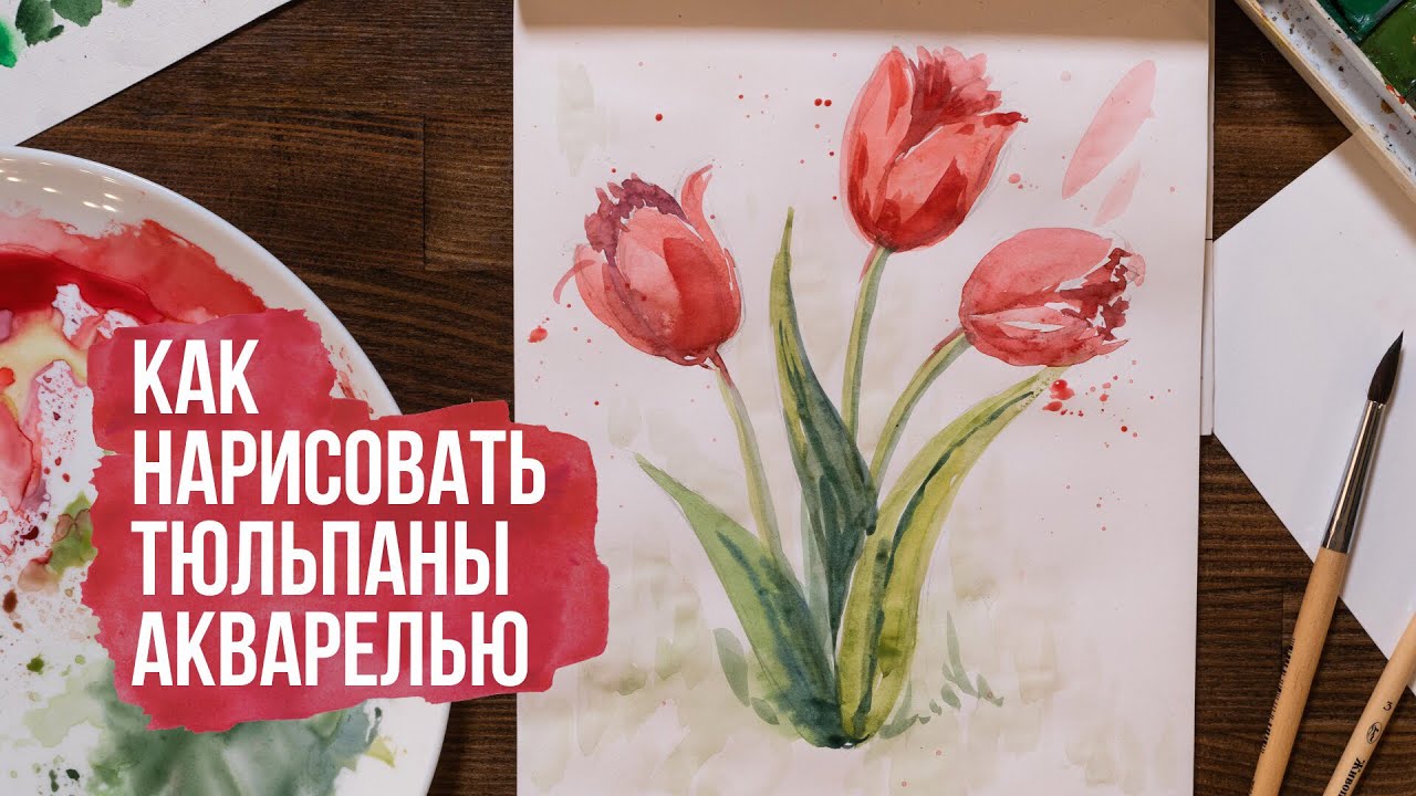 Как нарисовать тюльпаны поэтапно акварелью | Видео уроки по рисованию для начинающих. Онлайн школа