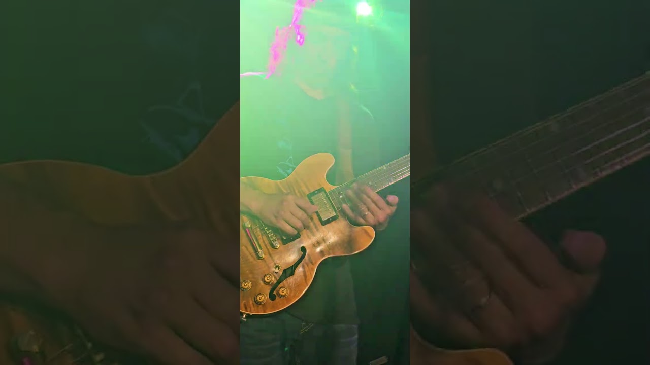 Trial By Fire ft. Dave Katz / Nick Shaver / Tony Kazel / Mark Gonzalez / #TrailByFire #livemusic