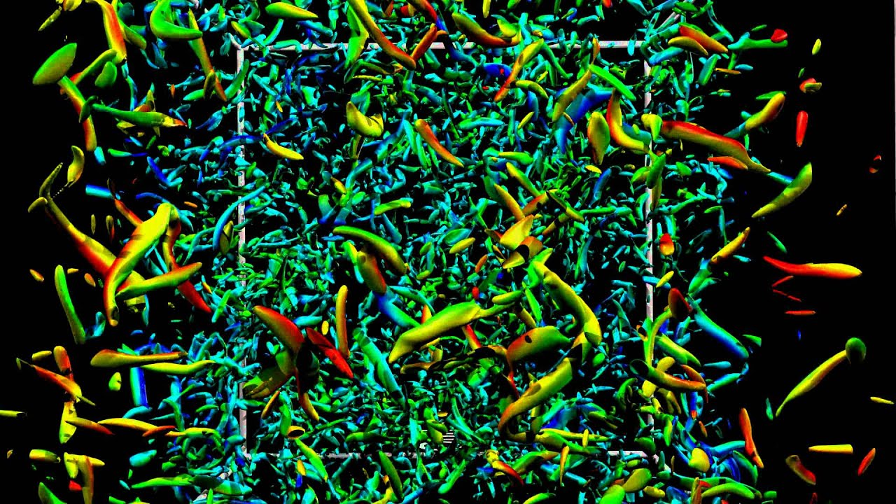 The Shock and The Turbulence. The story of an interaction