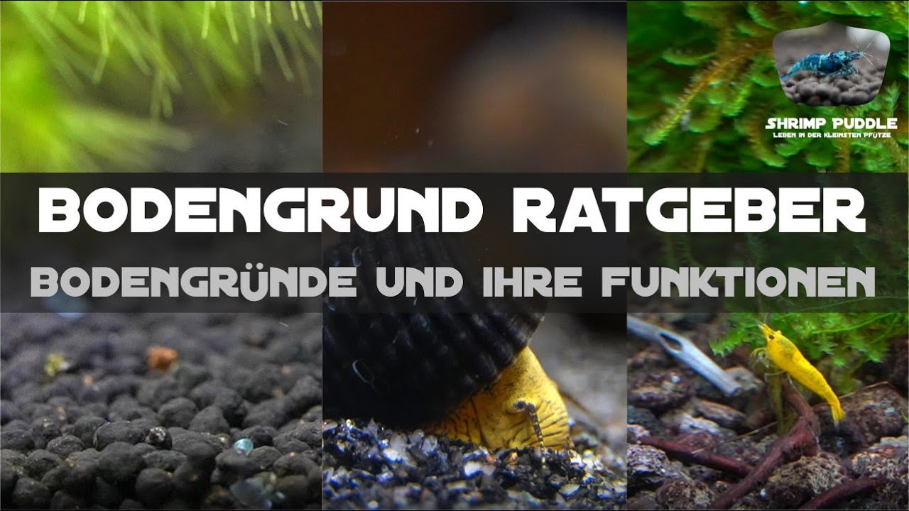 BODENGRUND-RATGEBER / WIE WÄHLE ICH DEN RICHTIGEN?