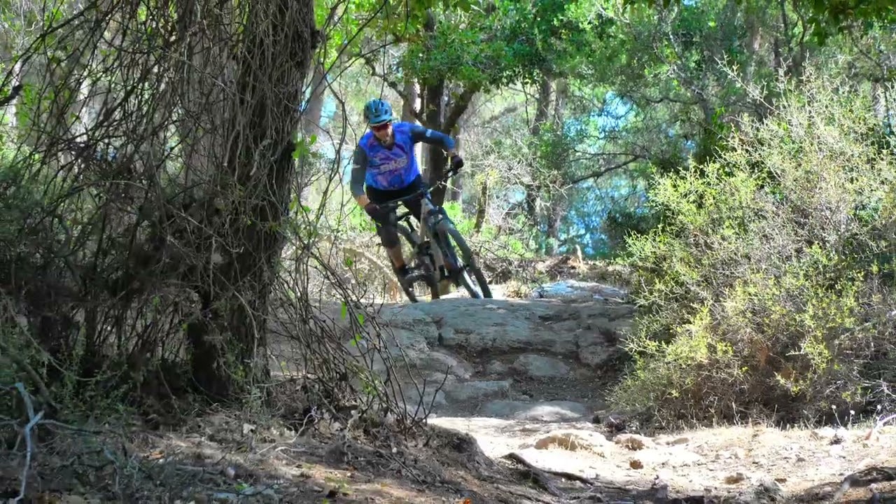 Haro Daley 1
