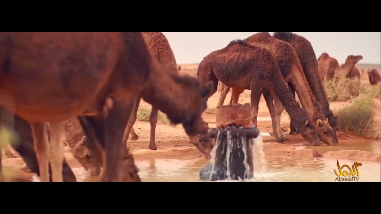 كلميم ونواحيها