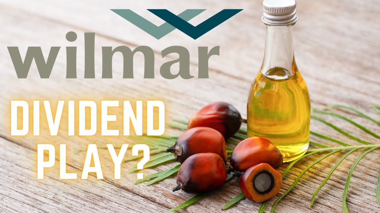 Wilmar International Earnings  - Is it a Dividend play?