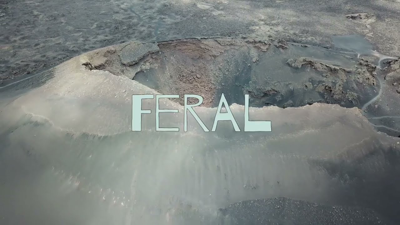 Rival Dancers - Feral