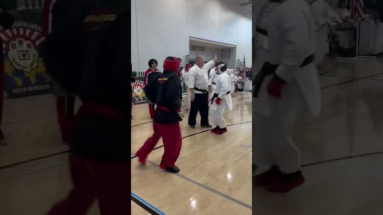 Dresden fights 2