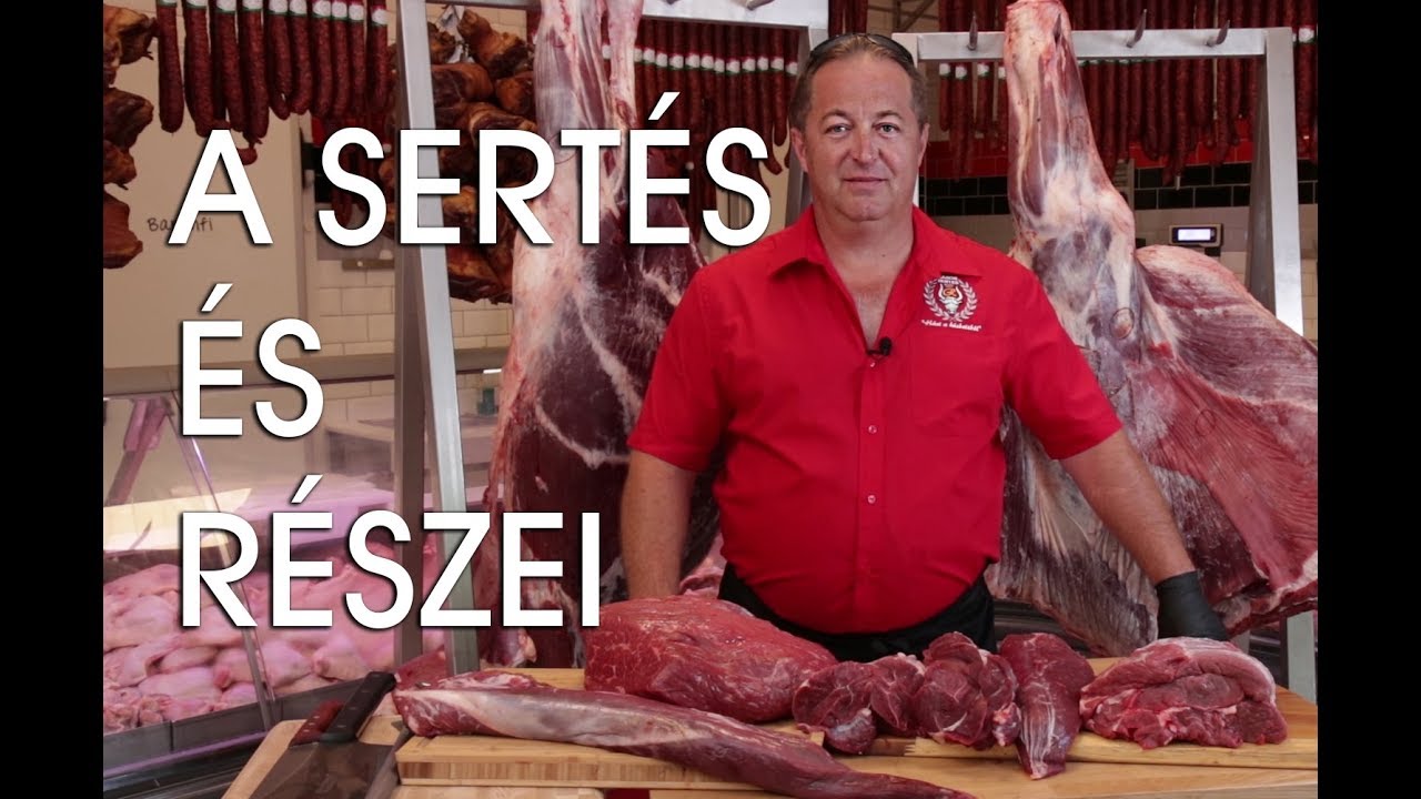 A sert&eacute;s &eacute;s r&eacute;szei | Mindmegette.hu