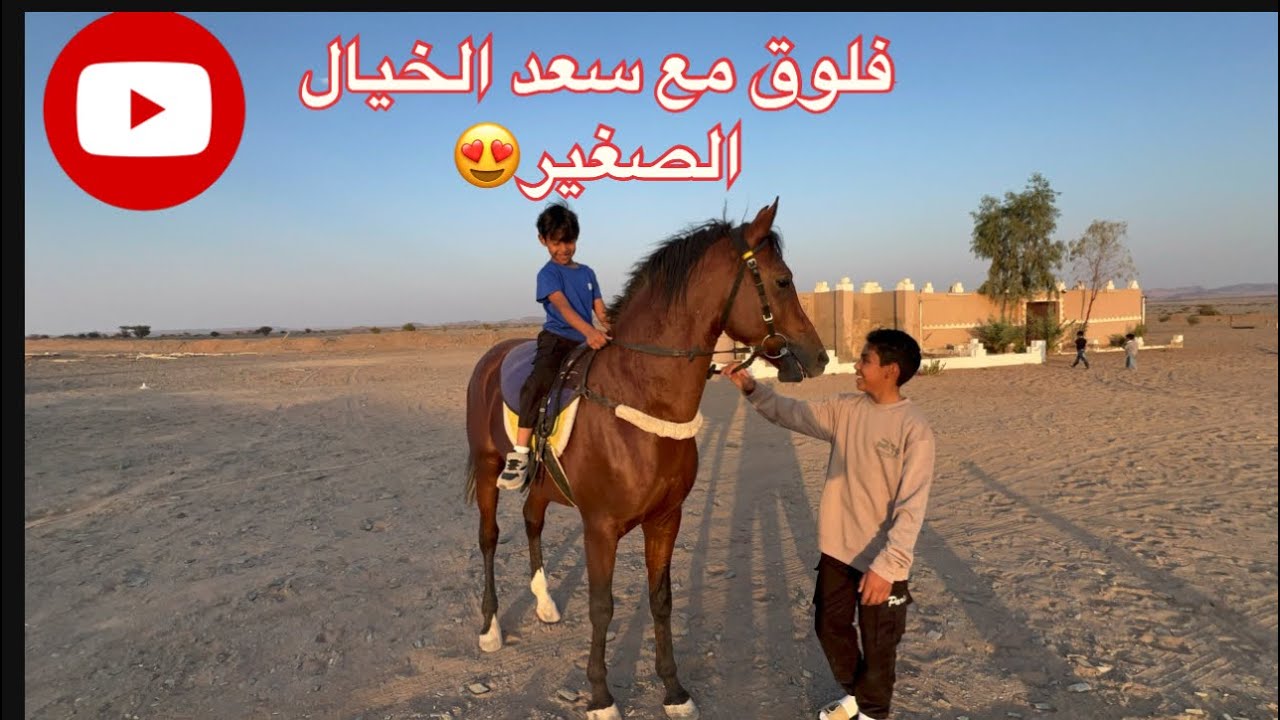 يوم في مربط سعد الخيال الصغير 🐎 | مغامرة عبدالله وريماس مع الخيول العربية الأصيلة!