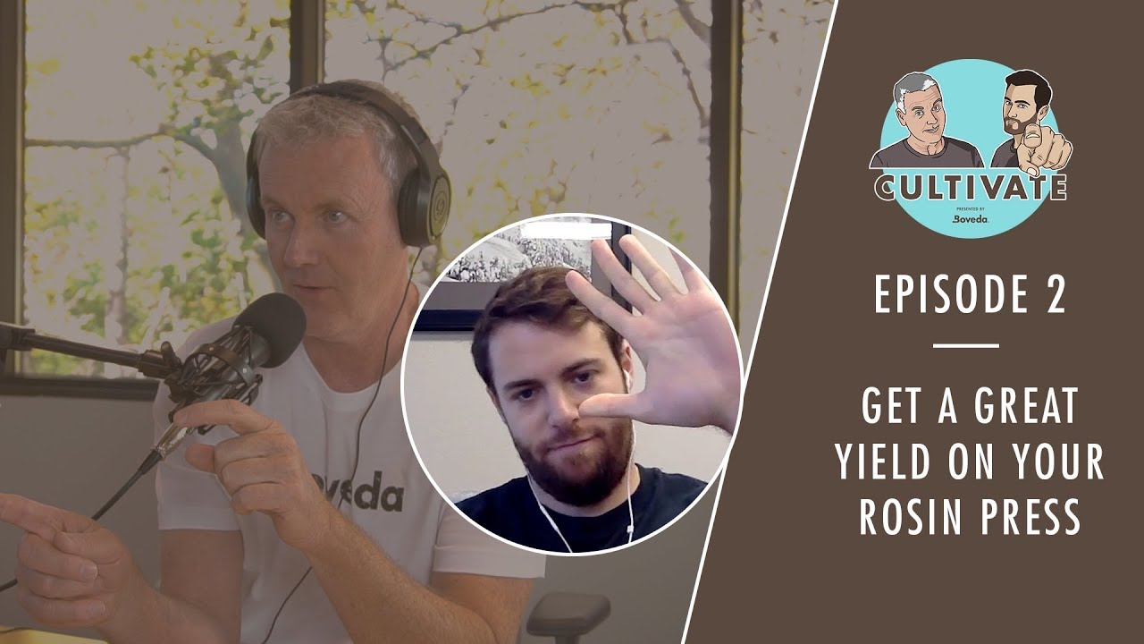 How to Get a Great Yield on Your Rosin Press (ft. Pure Pressure) | Cultivate Ep. 02