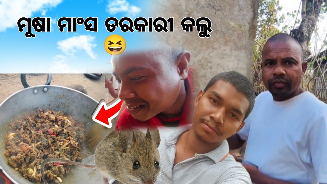 ମୂଷା ମାରିବାକୁ ଯାଇଥିଲୁ 😆||New ho vlog 2026 ||mrtuaa 