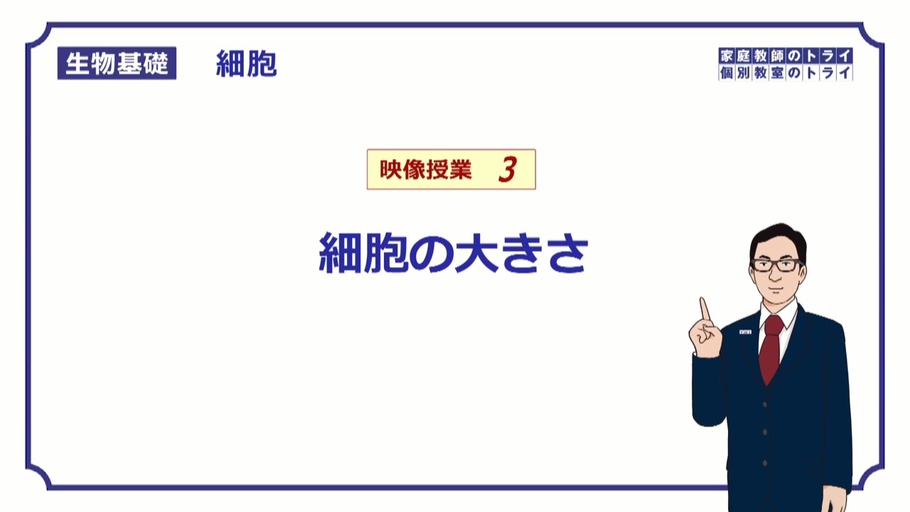 【生物基礎】　細胞3　細胞の大きさ　（１８分）