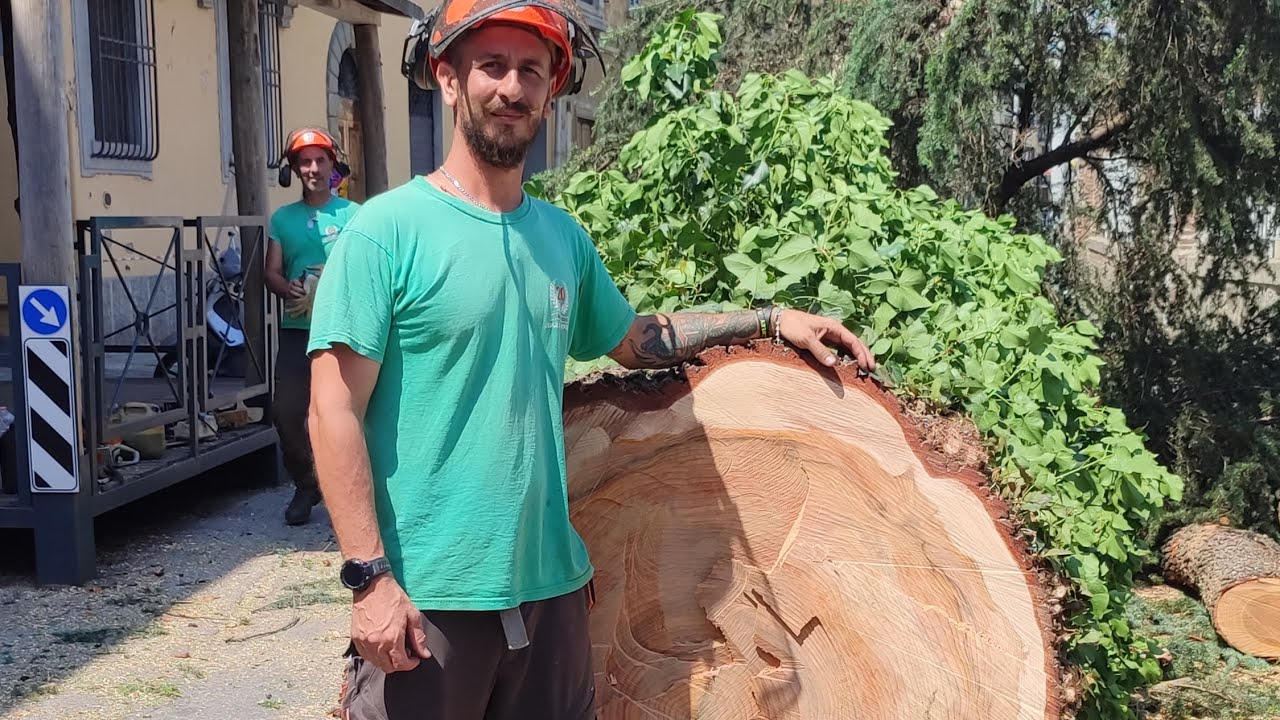 Abbattimento Cedro treeclimbing e autogru