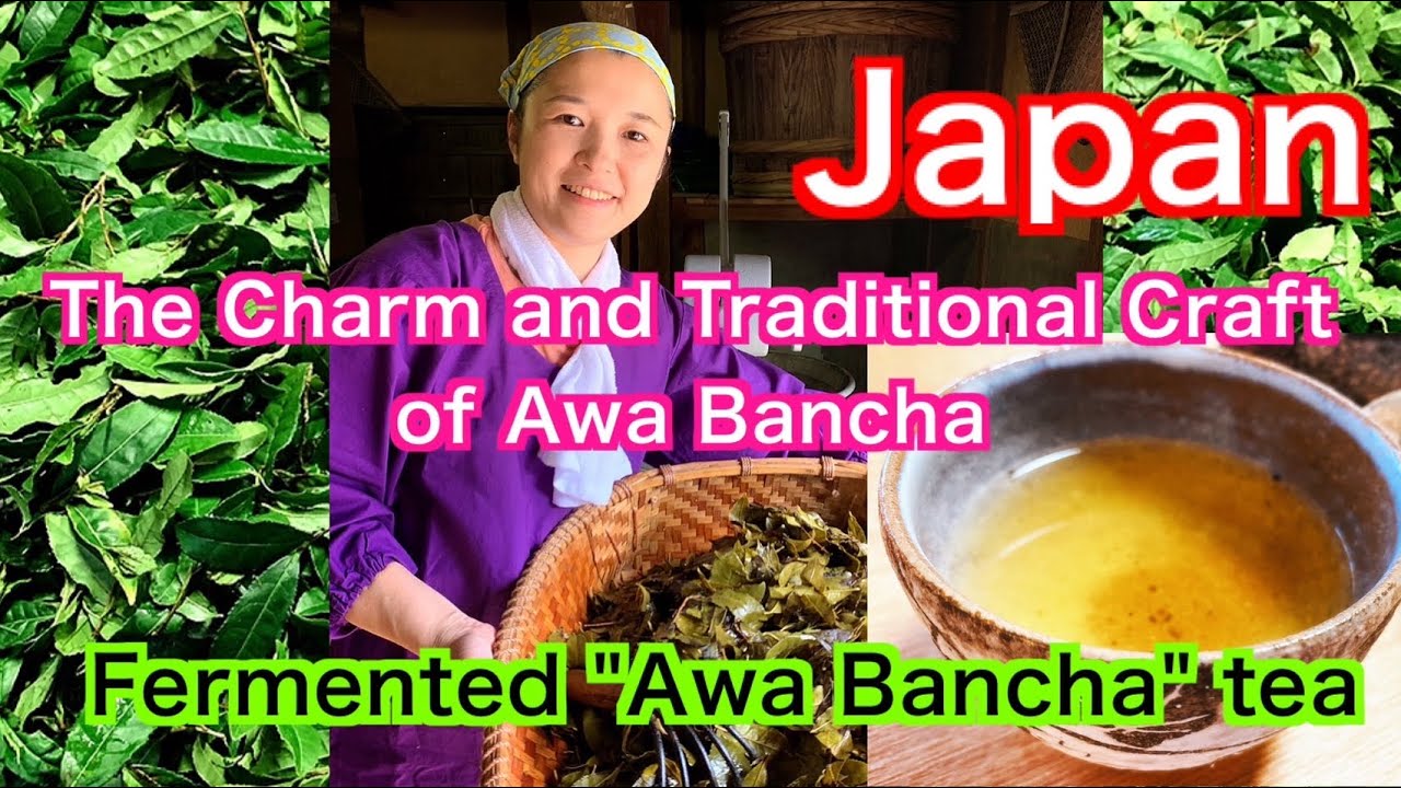 A Miracle Tea with 1,200 Years of Tradition: The Story and Charm of Awa Bancha