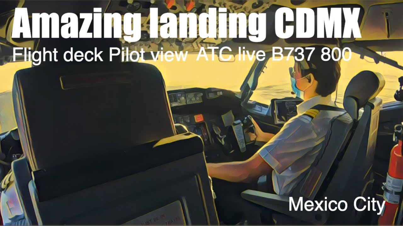 Boeing 737 -800 I Aterriza en el Flight deck | Explicaciones