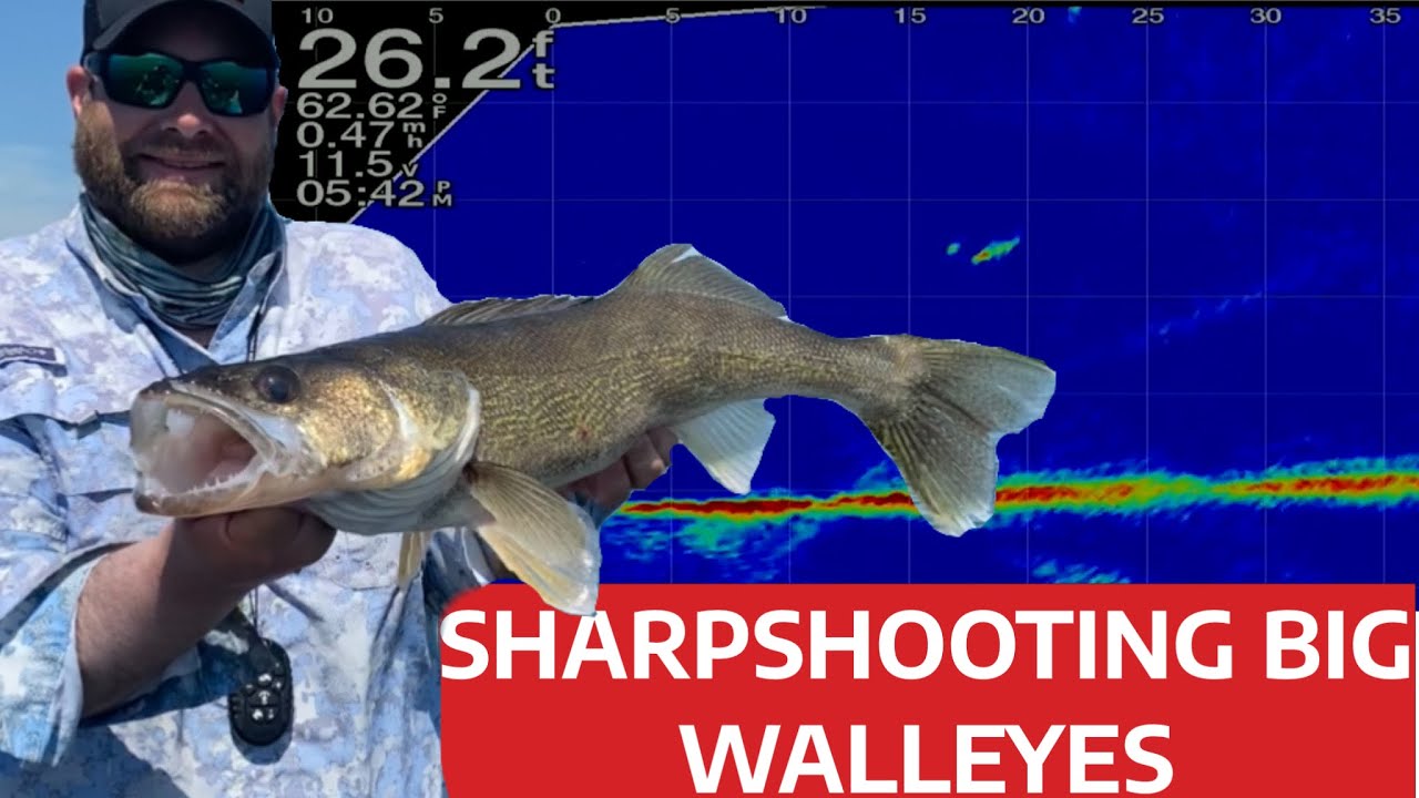 Sharpshooting Big Walleyes with Garmin Livescope