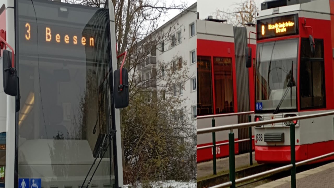 Nids buses alle Linien fahren (12,3,8