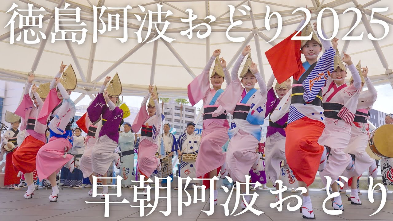 【阿波踊り】徳島市阿波おどり2025のスタートを告げる 早朝阿波おどり | Awaodori in Tokushima Japan