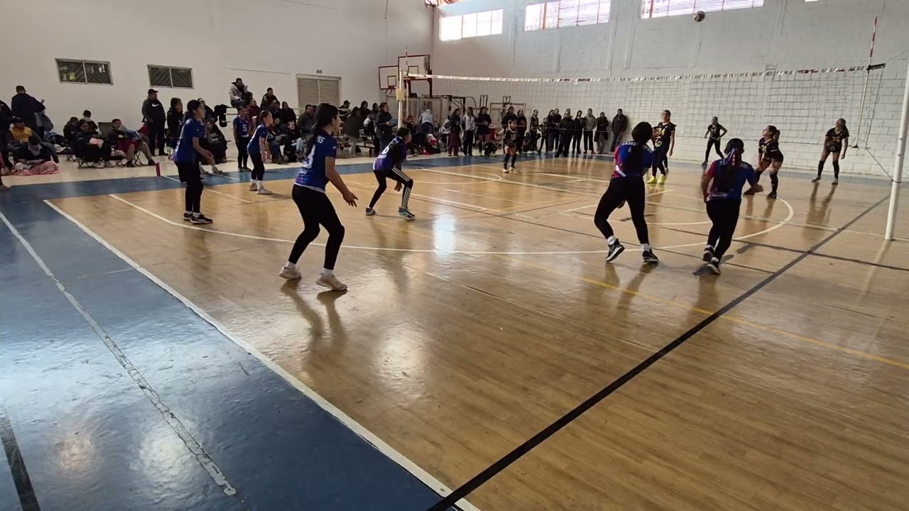 Ángeles Amarillos vs Cuerudas (1 Feb)