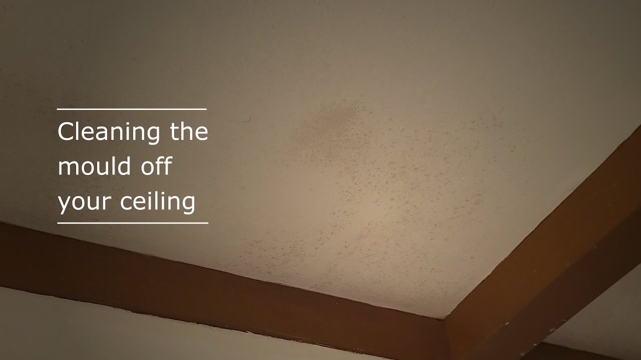Cleaning the mould on your ceiling from a water leak