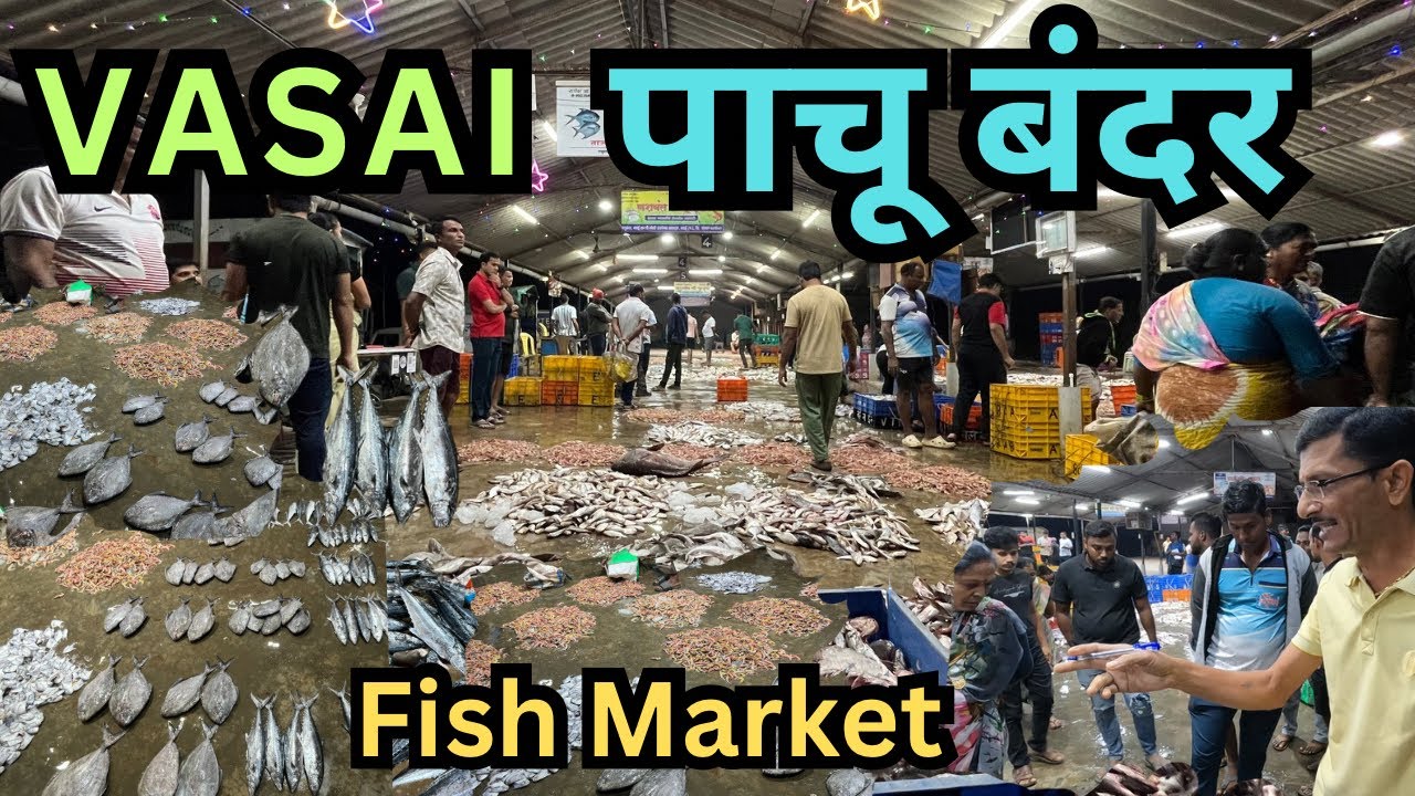 वसई पाचू बंदर 🐠 | vasai fish market | vasai wholesale fish market | paachu bandar vasai 🐟🐠