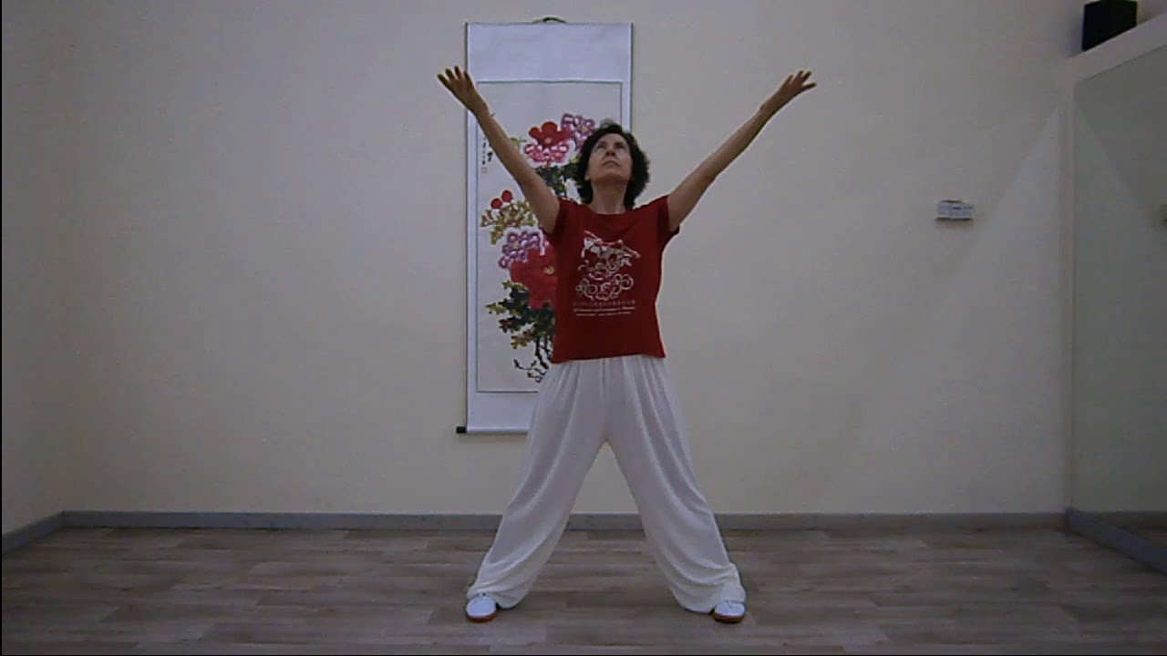 Nei Yang Gong de la Dra. Liu YaFei I 