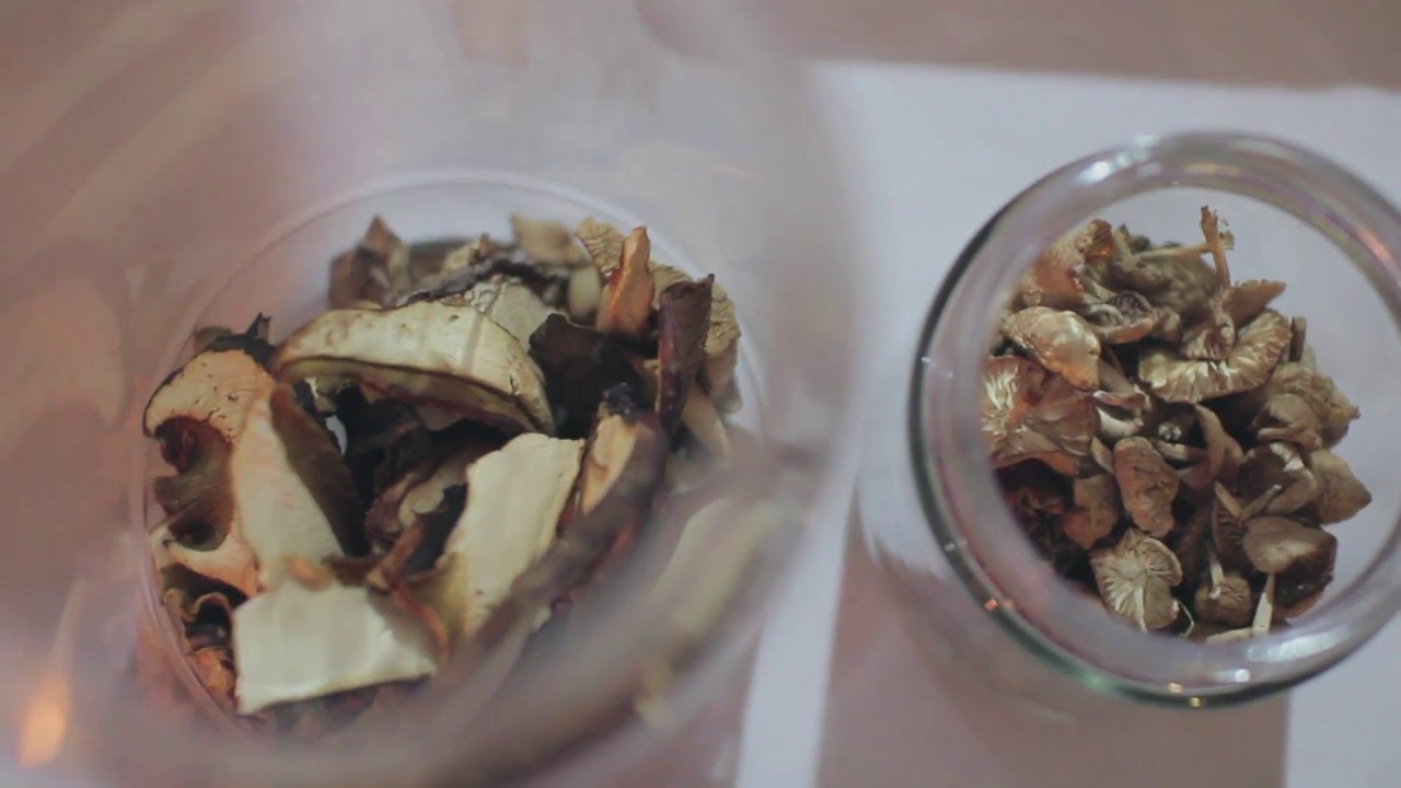 Curso de Cocina con Setas. Micogastronom&iacute;a