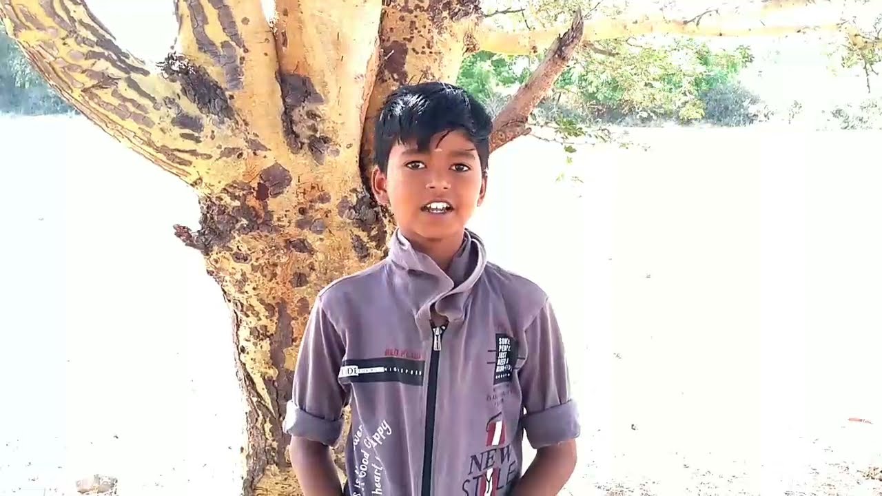 🔥// TREE HOUSE MAKING EASY AT TREE 🎄  IN TAMIL //🔥