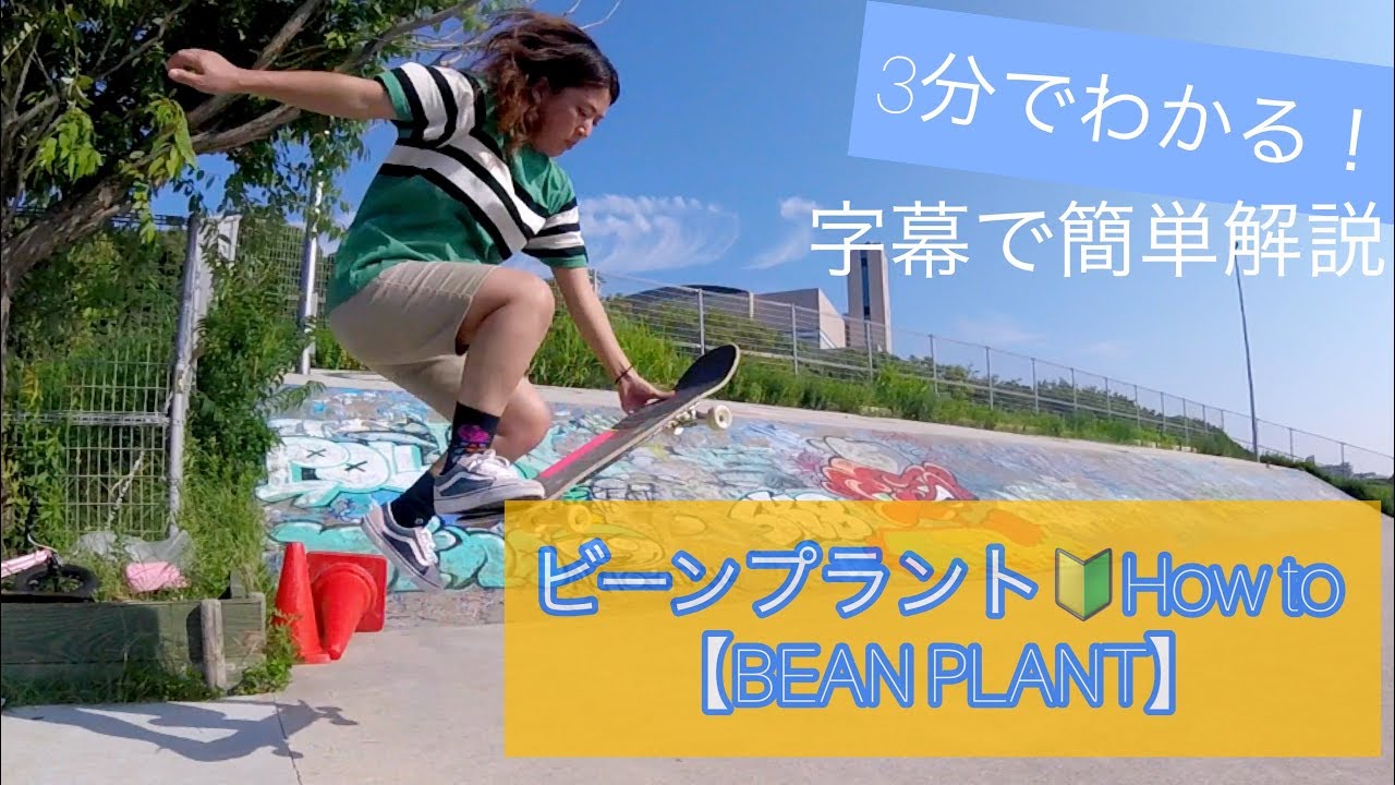 ３分でビーンプラント《BEAN PLANT》How to.字幕