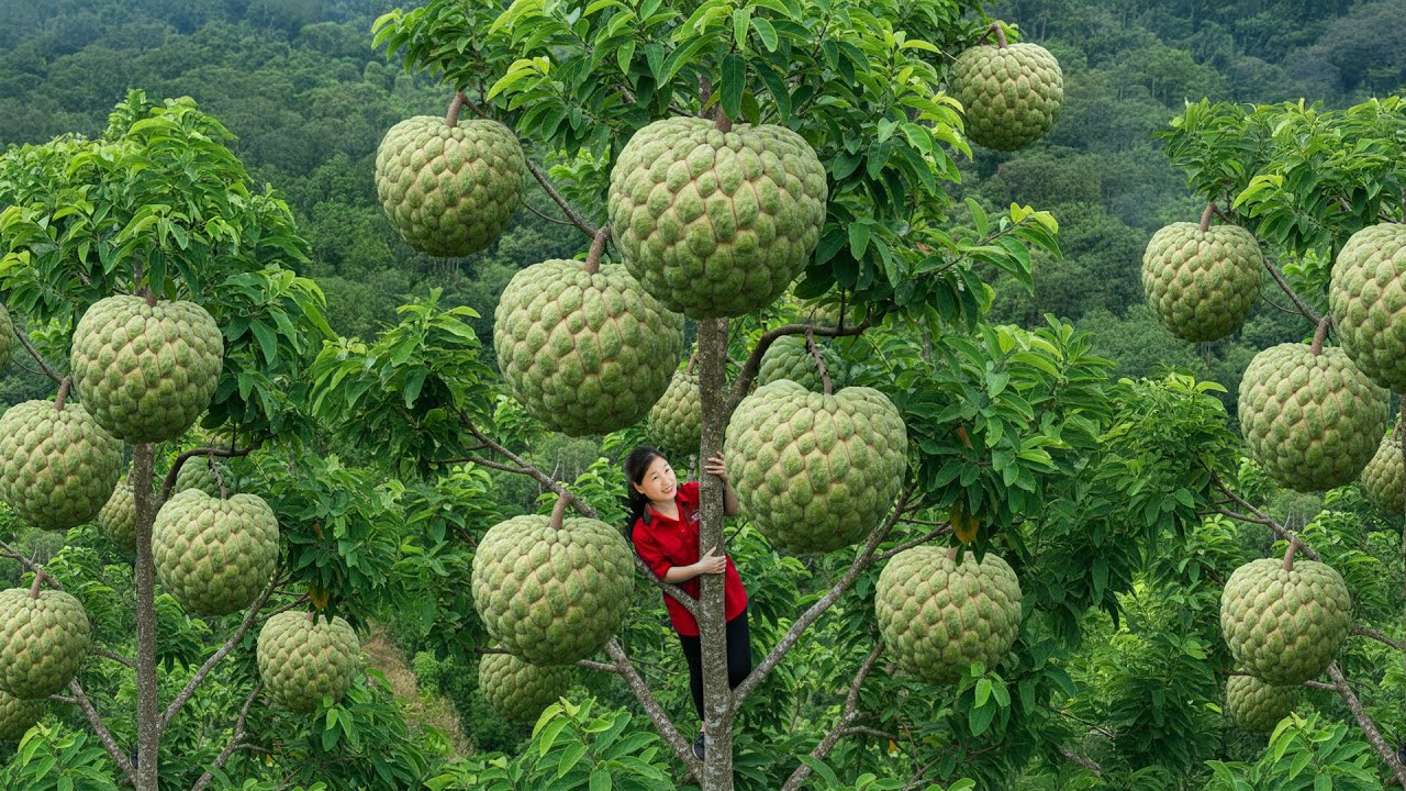 I Spent 28 Days Building a Farm and Harvesting Giant Tropical Fruits 🍈