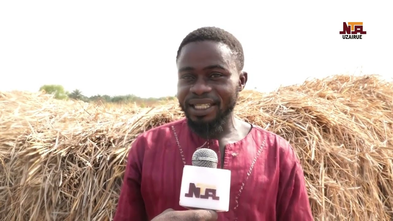 EDO NORTH RICE FARMERS CALLS FOR IMMEDIATE INTERVENTION AS RICE DROPS COST COMPARES FARM IMPLEMENTS