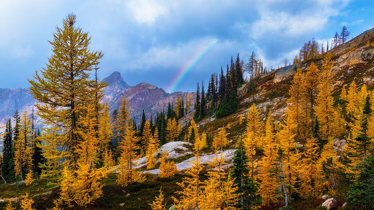 The Hype Is Real! | Silent Hike in the Larches | Pacific Crest Trail | Washington