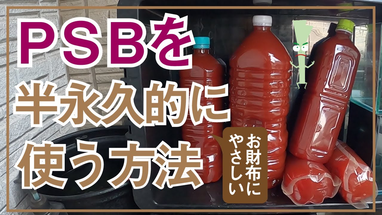 PSBを半永久的に使い続ける方法。セロリマンはこうやってＰＳＢを使い続けています。めだかの稚魚育成にオススメ！